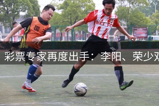彩票专家再度出手：李阳、荣少双双斩获809万大奖
